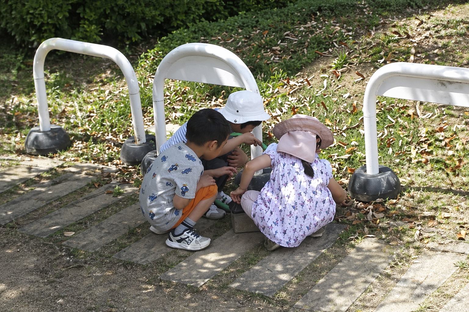 探求の時間 写真4
